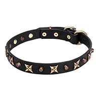 "Four Cornered Stars" Leather Dog Collar