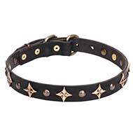'Milky Way' Leather Dog Collar with Old Bronze-plated Half-ball Studs and Stars -1 inch (25 mm)