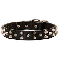 Studded Leather Dog Collar Walking and Training