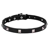 "A La Mode" 4/5 Inch (20 mm) wide Leather Dog Collar with Chrome Plated Pyramids