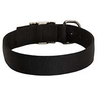 Walking and Training 2 Ply Nylon Dog Collar