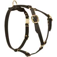 Light Weight Adjustable Leather Dog Harness for Tracking