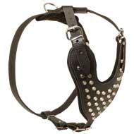 Walking Studded Leather Dog Harness