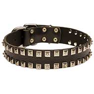 Leather Dog Collar Decorated With Nickel Pyramids