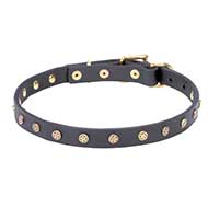 'Stars' Decorated Leather Canine Collar with Brass Studs
