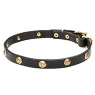 'Stamped Studs' Leather Canine Collar with Brass Hardware
