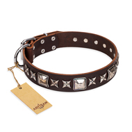 "Perfect Impression" FDT Artisan Brown Leather Dog Collar with Silver-Like Studs - 1 1/2 inch (40 mm) Wide