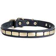 Fashion Leather Dog Collar With Shiny Plates