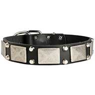Beautiful Leather Dog Collar With Nickel Plates and Cones