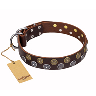'Strong Shields' FDT Artisan Brown Leather Dog Collar with Brass and Chrome-plated Studs