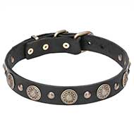 Leather Dog Collar "Magic Necklace" with Brass Circles and Studs - 1 1/5 inch (30 mm)