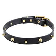 Leather Dog Collar with Golden-like Spikes and Skulls