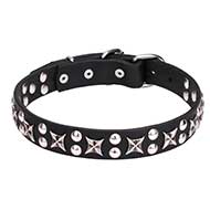 Posh Leather Dog Collar "Planets and Stars" with Chrome Plated Fittings 1 1/5 inch (30 mm) Wide