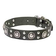 Gorgeous 'Rock n Roll' Leather Dog Collar With Mix of Decorations