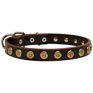 Decorated Leather Dog Collar For Stylish Walking