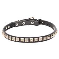 Gorgeous 'King Studs' Leather Dog Collar