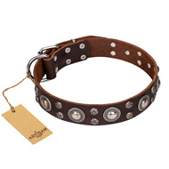 'Age of Beauty' FDT Artisan Incredible Studded Brown Leather Dog Collar