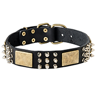 War Leather Dog Collar with Plates, Spikes and Cones