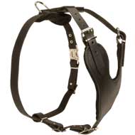 Professional Heavy Duty Training Leather Dog Harness with Padded Chest Plate
