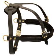 Durable Leather Dog Harness With Padded Chest Strap