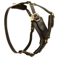 Designer Leather Dog Harness Padded with Heavy Felt