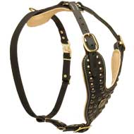 Walking Dog Harness Made Of Leather With Studded Wide Chest Plate