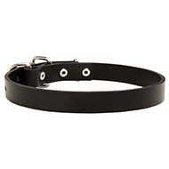 Classic Leather Collar for Dog Walking and Training