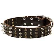 Designer Spiked Studded Leather Dog Collar