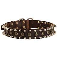 Studded and Spiked Leather Dog Collar for Showy Promenades