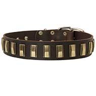 Leather Canine Collar with Vertical Brass Plates