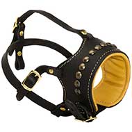 Stylish Handicrafted Studded Leather Muzzle for your pet