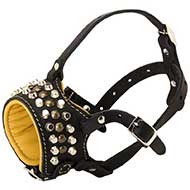 Studded Nappa Leather Padded Dog Muzzle