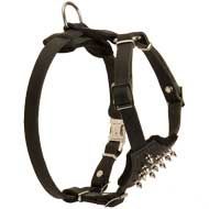 Exclusive Dog Puppies Harness for Training / Walking