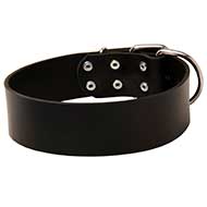 Extra Wide Leather Dog Collar for Walking and Training