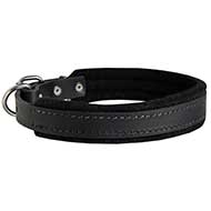 Felt Padded Leather Dog Collar for Walking and Training