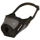 Agitation Leather And Nylon Dog Muzzle