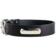 Training and Walking Leather Dog Collar With ID Tag