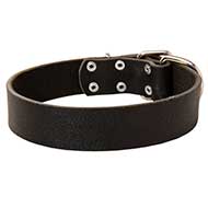 Classic Leather Dog Collar for Walking and Training - 40 mm Wide