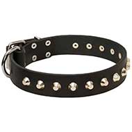 Fashion Leather Dog Collar with Nickel Pyramids for Daily Walks