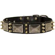 Unique Leather Dog Collar with Plates and Spikes