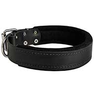 Felt Padded Leather Collar for Agitation Training and Walking