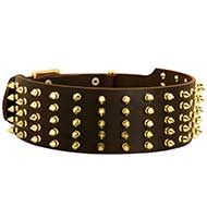 Designer Extra Wide Spiked Leather Dog Collar for Stylish Walks