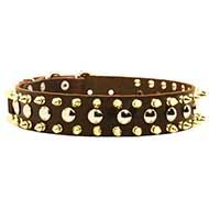 Classy Leather Dog Collar with Silverish Studs and Goldish Spikes
