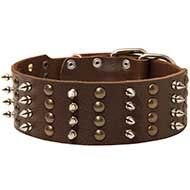 Spiked and Studded Leather Canine Collar for Walking