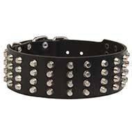 Wide Leather Dog Collar with Rows of Nickel Cones