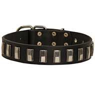 Leather Dog Collar Embellished with Vertical Nicklel Plates