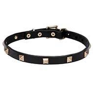 "Modern Style" Leather Dog Collar with Brass Studs