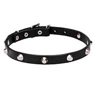 "Beauty & Elegance" Leather Dog Collar Adorned with Chrome Plated Pyramids - 4/5 inch (20 mm) wide