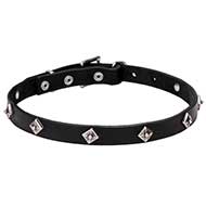 "Cosmic Stars" Narrow Leather Dog Collar with Chrome Plated Studs - 4/5 inch (20 mm) wide