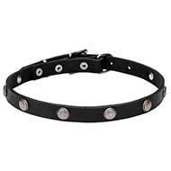 Leather Dog Collar with Chrome Plated Round Studs -"Antique Flowers" 4/5 inches (20 mm) wide